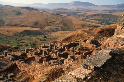 General View of the Site by Roman
